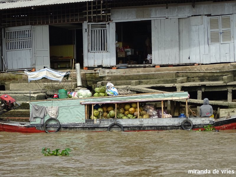 de Mekong Delta (8).JPG