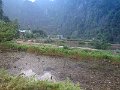 DSC01211
