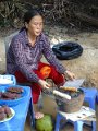 DSC03756