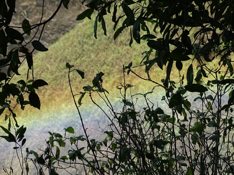 DSC08875.JPG - Regenboog
